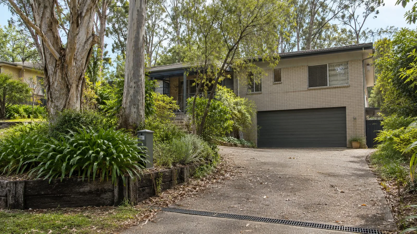 AI-generated illustration: St Lucia leafy residential home, mature gum trees and paved driveway channel drain